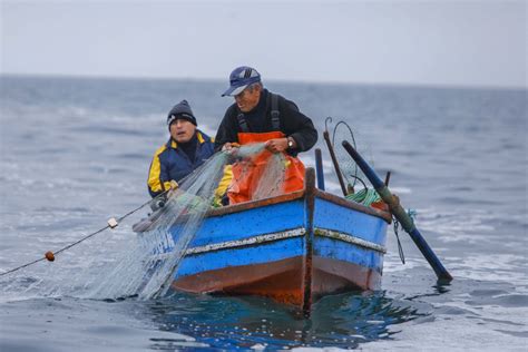 Pesca de mar profunda máquina de fenda